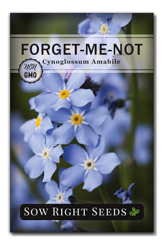 Semillas De Flores Forget-me-not Para Plantar (cynoglossum A