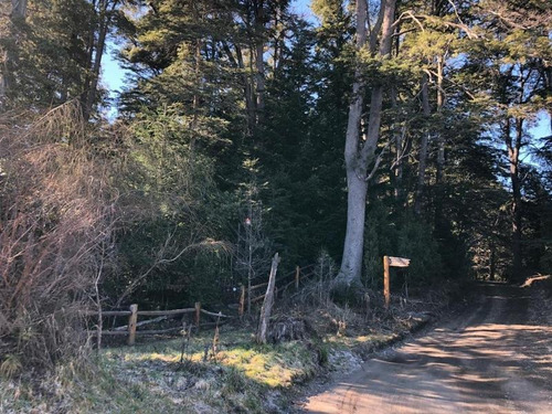 Imagen 8 de 12 de Lote En Venta - Zorzal 100, Villa La Angostura