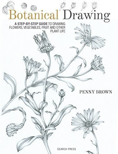 Botanical Drawing - Penny Brown (paperback) (*)