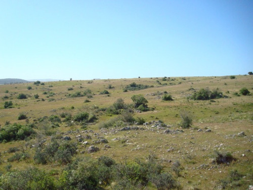 Campo En Venta En Lavalleja, 5 Hectáreas.