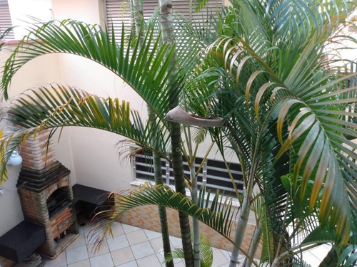 Sobrado Com 3 Dormitórios À Venda, 210 M² Por R$ 750.0 - Vila Formosa - São Paulo/sp - So6625
