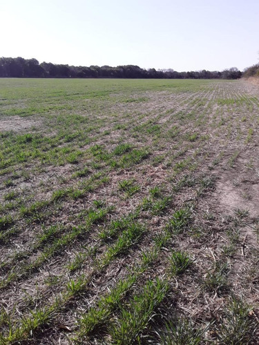 Imagen 2 de 9 de Campo En El Quebrachal