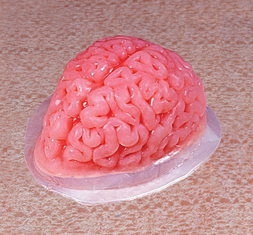 St- Molde Con Forma De Cerebro Para Hacer Gelatina