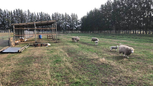 Imagen 6 de 14 de Hermoso Campo 10 Hectáreas En Cardales - Exaltación De La Cruz