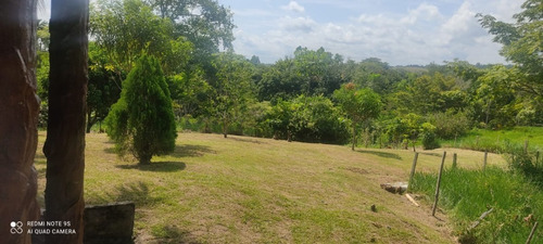 Imagen 11 de 29 de Finca De Recreo En Doradal Antioquia 12.800 Mts Piscina 1.200 Millones