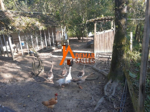 Imagem 21 de 30 de Chácara 12.0000m² - Miracatu-sp - Ch00108 - 69530911