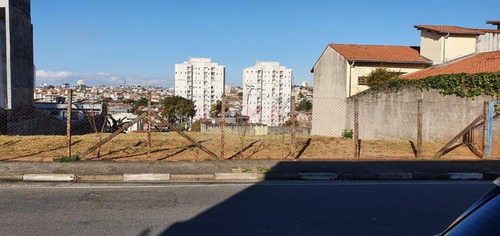 Imagem 6 de 10 de Terreno À Venda, 1025 M² Por R$ 1.600.000,00 - Alto Ipiranga - Mogi Das Cruzes/sp - Te0061