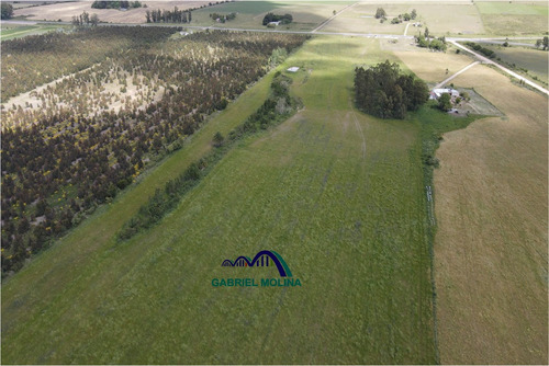 En Venta. 10 Ha Agrícolas - Ganadera.ubicación Estratégica.