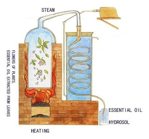 Aceite Esencial Pachuli Puro Natural Aromaterapia Perfume