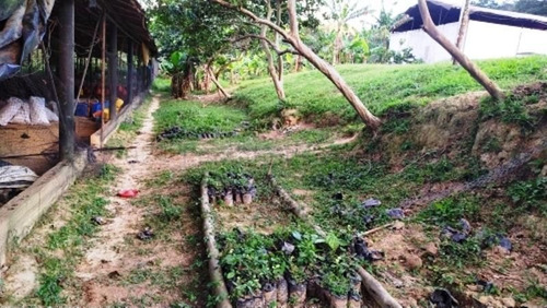 Terreno En Venta Ubicado En Canoabo Bejuma Carabobo 24-15798, Eloisa Mejia