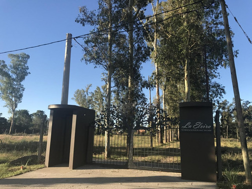 Imagen 3 de 19 de Terreno En Venta La Plata La Elvira Calle 13 Y 600 Dacal Bienes Raices