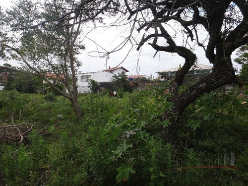 Imagem 8 de 10 de Excelente Terreno Na Cachoeira Do Bom Jesus Com Viabilidade Para Loteamento E Condomínio - V-3037