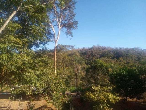 Imagem 12 de 14 de Vende-se Uma Linda Chácara,com Piscina E Rio Nos Fundos.