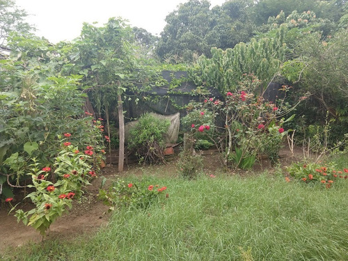 Imagem 10 de 30 de Casa A Venda No Bairro Jardim Gramado Em Tatuí/sp - 392