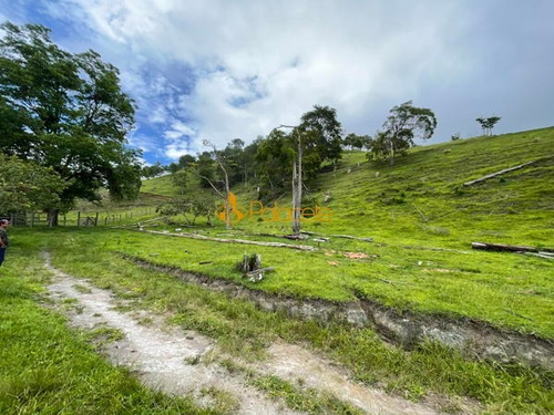 Imagem 5 de 16 de Rural Comercial - 366000-v
