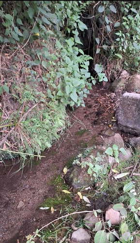 4.2 Hectáreas Con Manantial A 40 Minutos De Valle