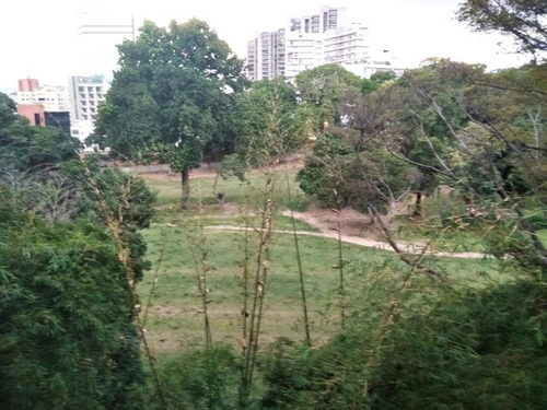 Carla Gonzalez Apartamento En Alquiler En La Urbanizacion Campo Alegre Mls #24-17840 Sc