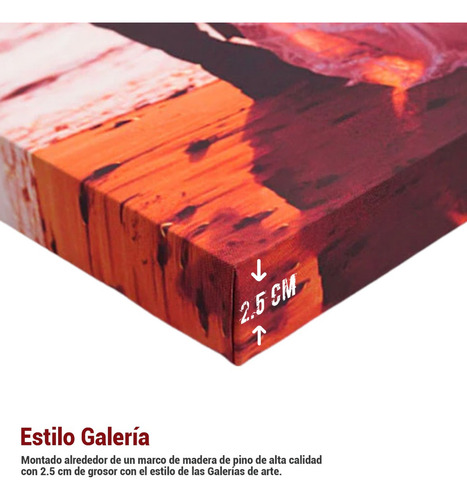 160x80cm Pinturas Abstractas De Verano Extrañas Y Simples