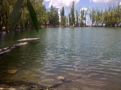 Imagen 2 de 10 de 42.6 Ha, Altamira