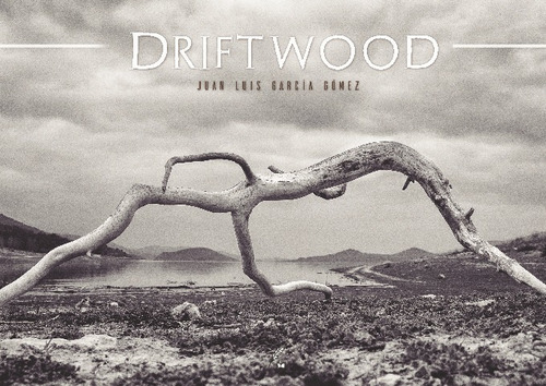 Libro Driftwood - Juan Luis Garcia Gomez