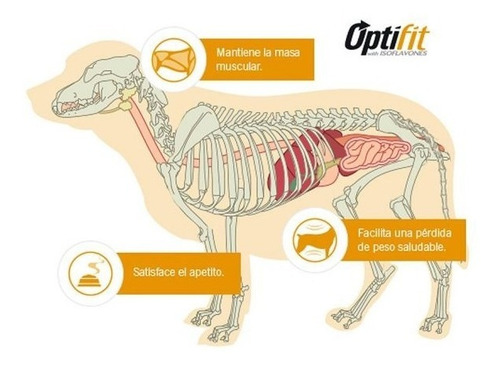 Pro Plan Reduce Calorie Perro Raza Pequeña 3 Kg Pet Cuenca