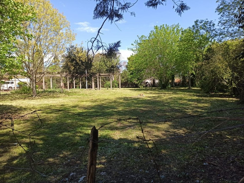 Imagen 6 de 6 de Terreno En Venta En Pereyra