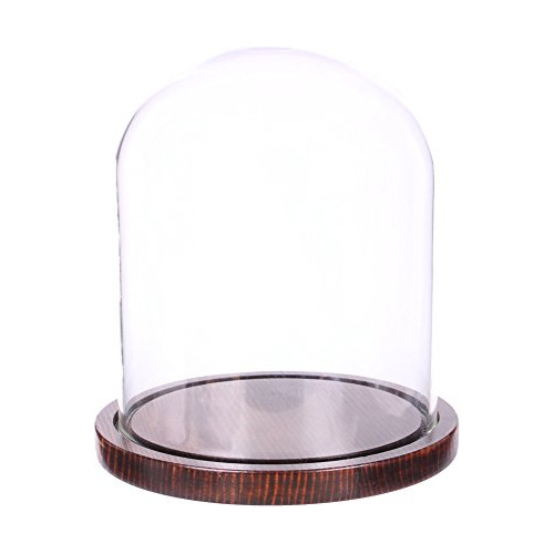 Campana De Cristal Cloche Base De Madera De Café 5.9  ...