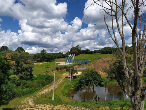 Chácara Com 5 Dormitórios À Venda, 45824 M² Por R$ 850.000 - Quatro Pinheiros - Mandirituba/paraná - Ch0173