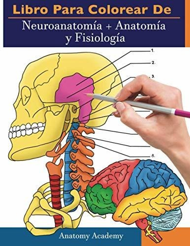 Libro : Libro Para Colorear De Neuroanatomia Anatomia Y...