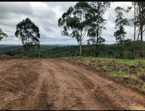T11- Lotes Com Melhor Preço Do Mercado