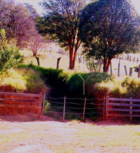Imagem 13 de 30 de Sítio Em Meio As Montanhas A Venda - Bueno Brandão/mg - Si0015