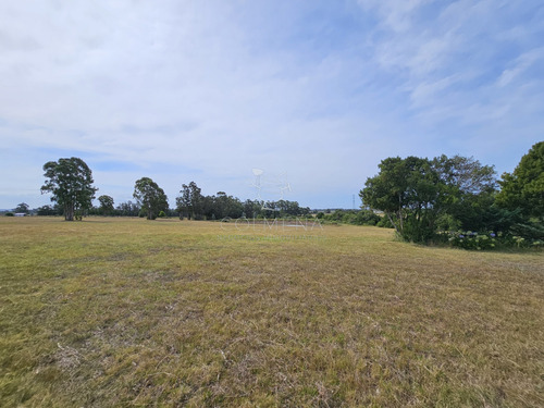 Venta Chacra Con Casa En Ruta 104 Manantiales