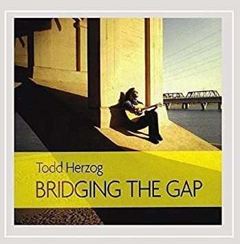 Herzog Todd Bridging The Gap Usa Import Cd