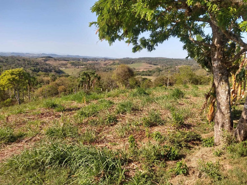 Imagem 22 de 30 de Chácara 42 Mil M2, Boa De Água Com Corrego, Casa Sede Com 5 Dormitórios, Toda Avarandada, Casa Caseiro, Piscina, Curral, Pasto, Pomar Em Formação - Ch00164 - 70147080