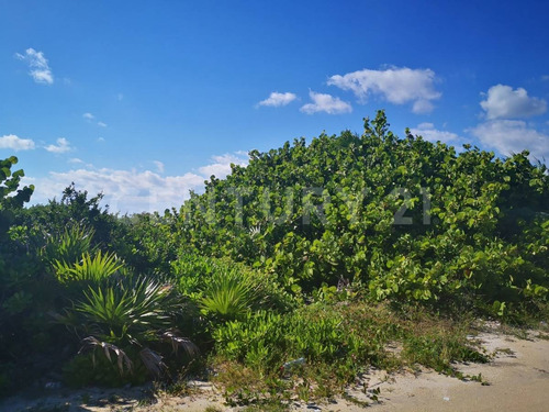 Oportunidad!!se Vende Terreno Frente Al Mar Mahahual-rio Indio P1200
