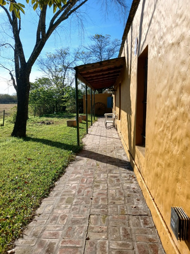 Venta Hermosa Casa Quinta 6 Hectáreas - Chacra En Gualeguay