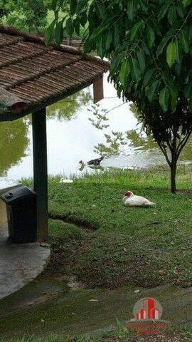Imagem 5 de 14 de Chácara À Venda No Bairro Borba - Pindamonhangaba/sp - 1789