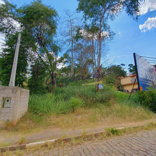 Imagem 4 de 9 de Terreno À Venda Em Joaquim Egídio - Te001745