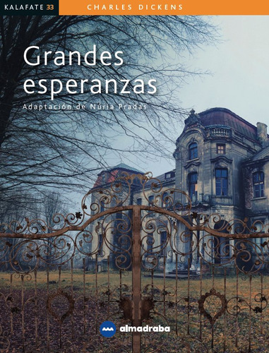 Grandes Esperanzas (libro Original)