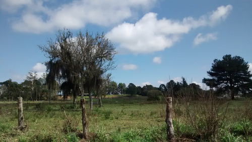 Imagem 22 de 30 de - Mch-0025
