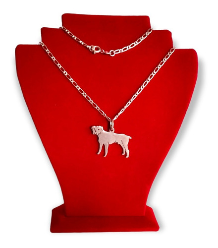 Collar Con Dije Modelo Rottweiler - Plata Ley 950