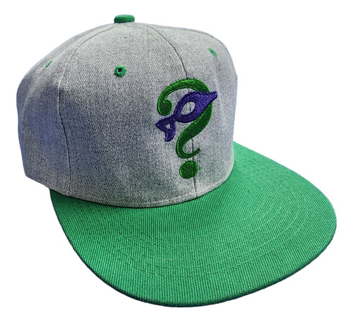 Gorra Bordada Batman The Riddler Edward Nygma Dc