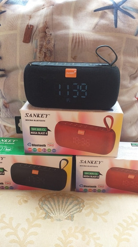 Imagen 2 de 4 de Corneta Portatil Sankey Sm 305 Cl