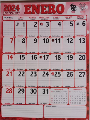 Calendario Organizador Planificador Mensual 21x28cm