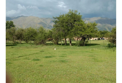 Imagen 4 de 10 de Precioso Lote A 8 Cuadras De La Plaza Central!