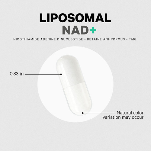 Suplemento Codeage Lipossomal Nad+ 500 Mg Com Betaína 60 Cáp