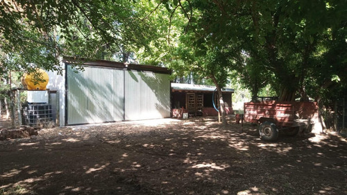Finca Productiva En San Rafael, Mendoza