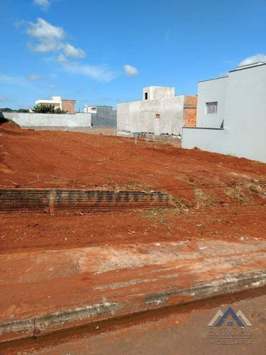 Imagem 6 de 8 de Terreno À Venda, 475 M² Por R$ 450.000,00 - Jardim Central Park - Londrina/pr - Te0361