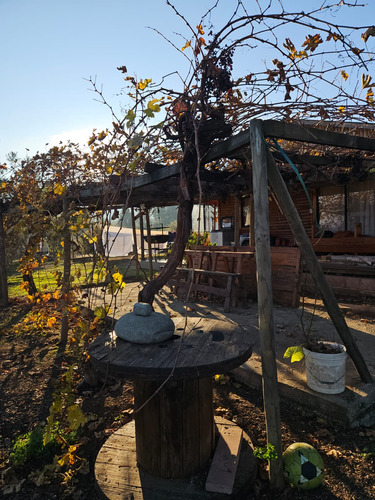 Parcela Con Casa, 5000 Mts2, San Javier