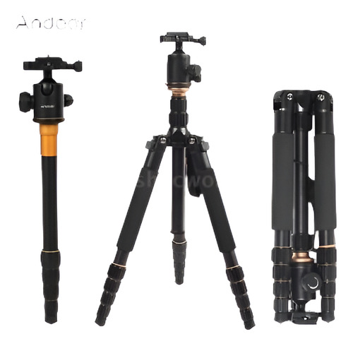 Profesional 60  Monopod Trípode Con Rótula Para Todas Las Cá